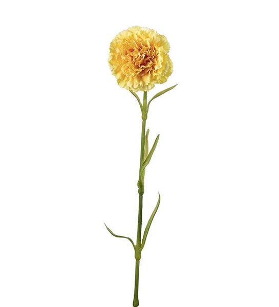 neilikka 44cm kaksi v&auml;ri&auml;