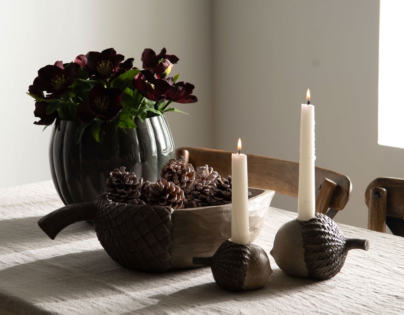 tammenterho kynttil&auml;njalka kaksi kokoa